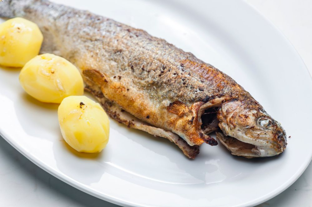 Grilled trout and steamed potatoes