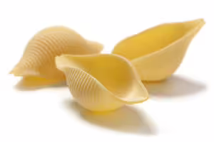 conchiglione