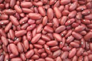 haricot rouge