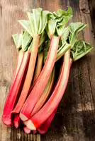 Rhubarb