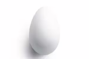 Egg