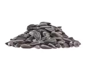 sunflower seed