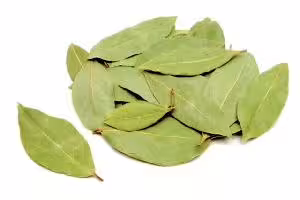 bay leaf