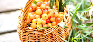 Sea buckthorn berry
