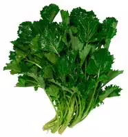 Cima di Rapa