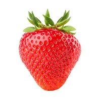 strawberry (other varieties)