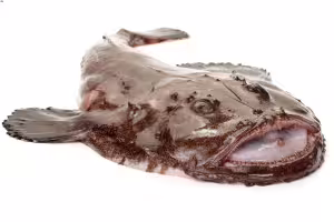 monkfish