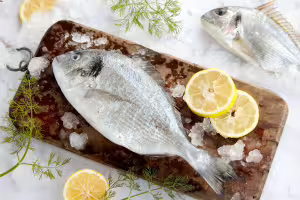 sea bream