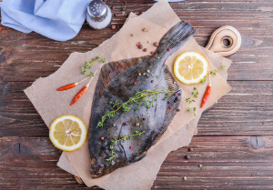halibut
