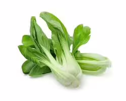 bok choy