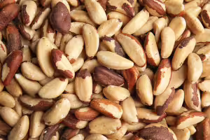 brazil nut