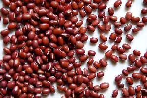 azuki bean