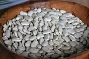 tarbais bean