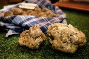 white truffle