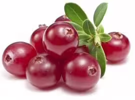 Cranberry