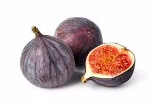 Fig