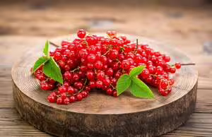 Currant
