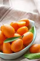 Kumquat
