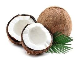 coconut