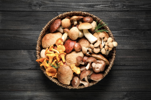 mushroom