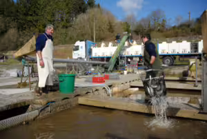 Aquadis Naturellement