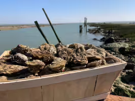 L'atelier D'Oléron - Eric Gaboriau